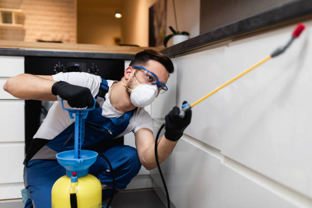 Best Affordable Pest Control Services  in Thayer, MO