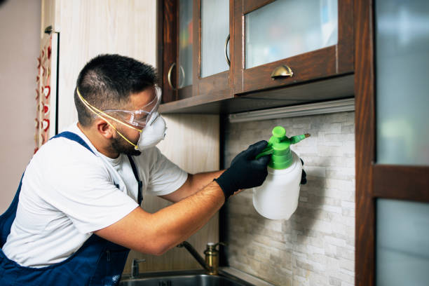 Flea Control Services in Thayer, MO