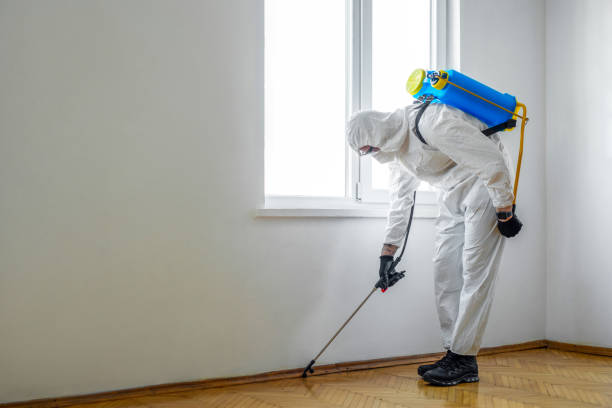 Best Commercial Pest Control Services  in Thayer, MO