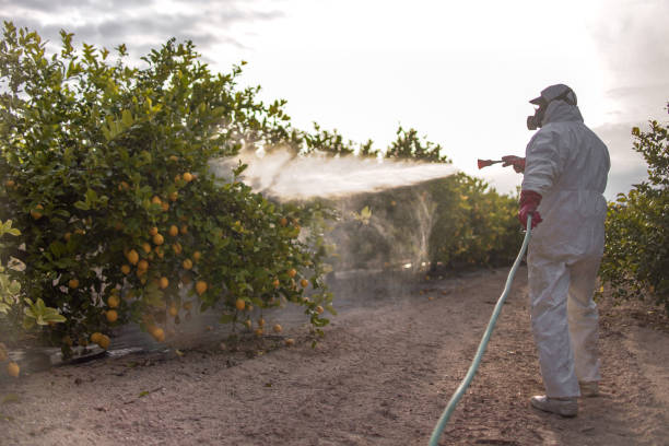 Best Pest Control for Restaurants  in Thayer, MO