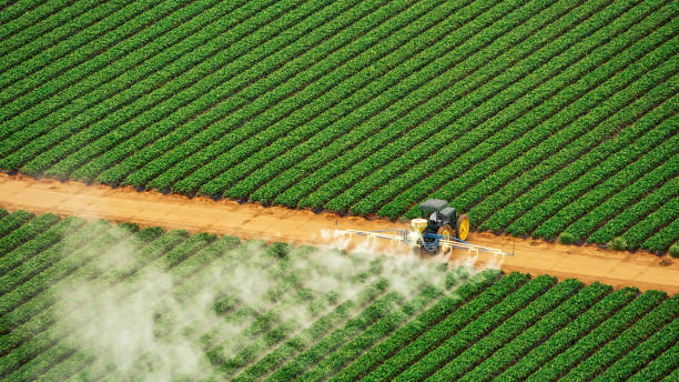 Best Best Pest Control Companies  in Thayer, MO