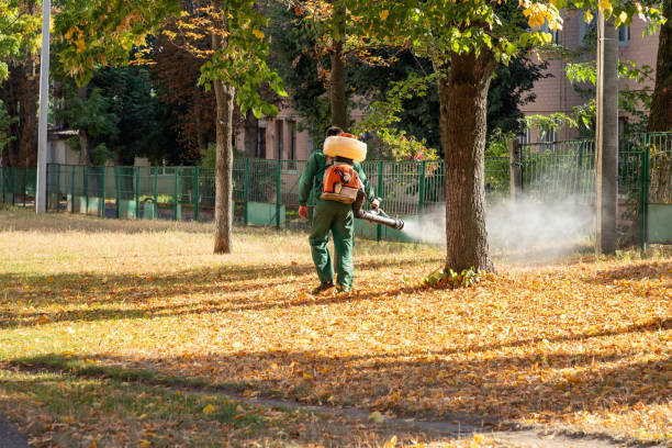 Best Termite Control Services  in Thayer, MO